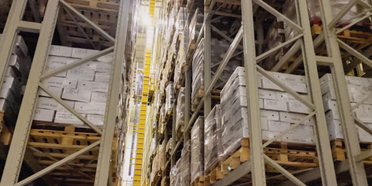 FRIOSAN REVOLUCIONA LA LOGÍSTICA DE FRÍO CON TECNOLOGÍA, TRAZABILIDAD Y SUSTENTABILIDAD