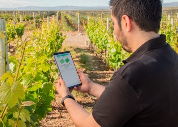 STARTUP KILIMO EN EL DÍA DEL MEDIO AMBIENTE: “EL AGUA DEBE ESTAR EN EL CENTRO DE CUALQUIER ESTRATEGIA DE SUSTENTABILIDAD”