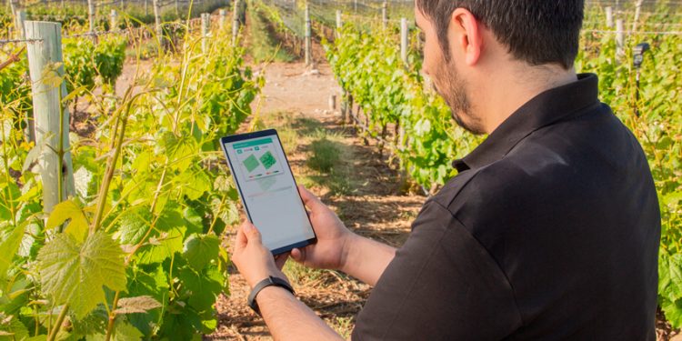 STARTUP KILIMO EN EL DÍA DEL MEDIO AMBIENTE: “EL AGUA DEBE ESTAR EN EL CENTRO DE CUALQUIER ESTRATEGIA DE SUSTENTABILIDAD”