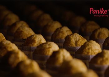 PANIKE OPTIMIZA EL ALMACENAMIENTO DE COMPONENTES TÉCNICOS CON UNA SOLUCIÓN AUTOMATIZADA