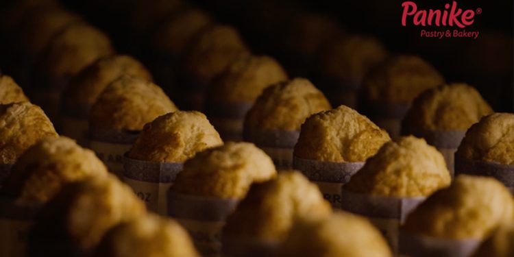 PANIKE OPTIMIZA EL ALMACENAMIENTO DE COMPONENTES TÉCNICOS CON UNA SOLUCIÓN AUTOMATIZADA