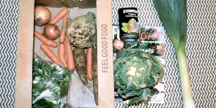 PACKAGING, MÁS QUE ENVOLTORIO, UN MOTOR DE POSICIONAMIENTO PARA FOODPRENEURS