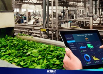 WMS Y TRAZABILIDAD: LA CLAVE PARA UNA INDUSTRIA ALIMENTARIA MÁS EFICIENTE Y SOSTENIBLE