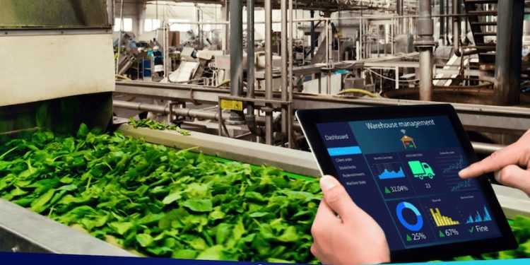 WMS Y TRAZABILIDAD: LA CLAVE PARA UNA INDUSTRIA ALIMENTARIA MÁS EFICIENTE Y SOSTENIBLE