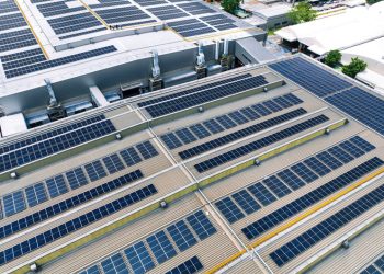 SUPPLY CHAIN VERDE: ¿MODA O NECESIDAD INMINENTE?