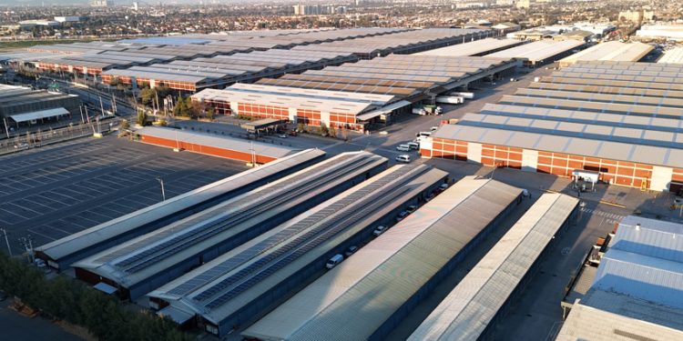 BODEGAS SAN FRANCISCO IMPULSA UNA NUEVA ERA LOGÍSTICA: MÁS TECNOLÓGICA, SOSTENIBLE Y FLEXIBLE.