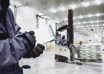 EL BOOM DEL CONGELADO: CÓMO UN CAMBIO CULTURAL ESTÁ TRANSFORMANDO LA LOGÍSTICA DEL FRÍO