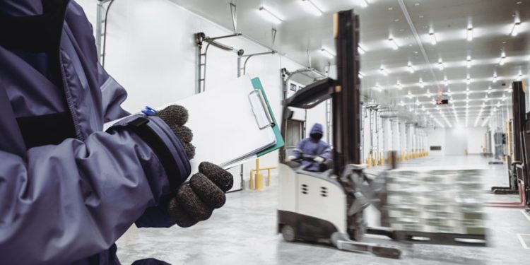 EL BOOM DEL CONGELADO: CÓMO UN CAMBIO CULTURAL ESTÁ TRANSFORMANDO LA LOGÍSTICA DEL FRÍO