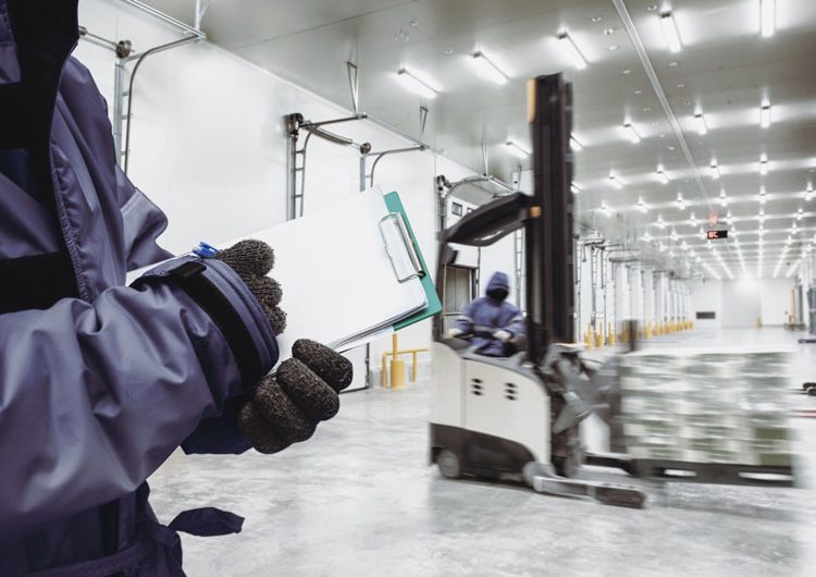 EL BOOM DEL CONGELADO: CÓMO UN CAMBIO CULTURAL ESTÁ TRANSFORMANDO LA LOGÍSTICA DEL FRÍO