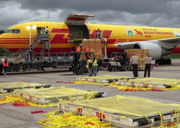 CONOCE CUÁLES FUERON LAS ENTREGAS MÁS INUSUALES DE DHL EN 2025