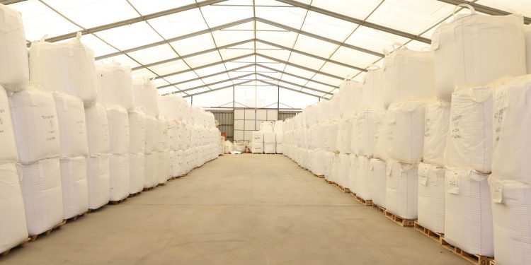 SILO LOGÍSTICA PRESENTA SU NUEVA IMAGEN Y ECOSISTEMA DE SERVICIOS: EFICIENCIA, CERCANÍA Y VISIÓN DE FUTURO