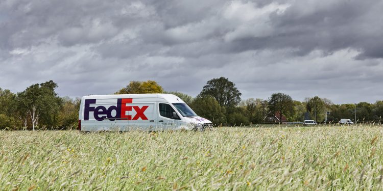 FEDEX INICIA LA TEMPORADA ALTA DE EXPORTACIÓN DE SEMILLAS DESDE CHILE CON PROYECCIÓN DE CRECIMIENTO CERCANO AL 10%