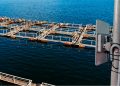 TRANSWORLD PRESENTA SOLUCIONES DE TELECOMUNICACIONES Y TI PARA  INDUSTRIAS DEL SUR DE CHILE