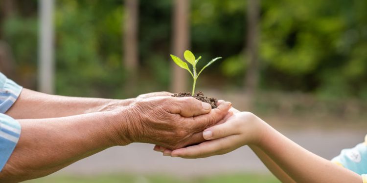 SOSTENIBILIDAD: DE LA OBLIGACIÓN AL RIESGO DE NEGOCIO