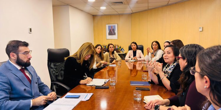 AME CHILE SE REÚNE CON MINISTRA DE ENERGÍA PARA PROYECTAR LÍNEAS DE COLABORACIÓN EN LA NUEVA ETAPA INSTITUCIONAL 2026-2029
