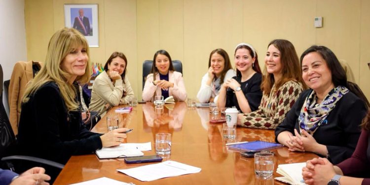AME CHILE SE REÚNE CON MINISTRA DE ENERGÍA PARA PROYECTAR LÍNEAS DE COLABORACIÓN EN LA NUEVA ETAPA INSTITUCIONAL 2026-2029
