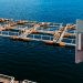 CUARTO ENCUENTRO TECNOLÓGICO DE PUERTO VARAS: TRANSWORLD PRESENTA SOLUCIONES DE TELECOMUNICACIONES Y TI PARA INDUSTRIAS DEL SUR DE CHILE